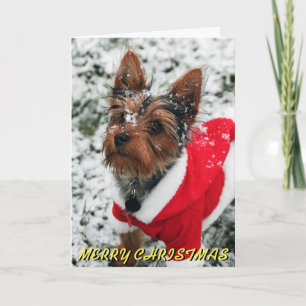 Gullig Yorkie julkort Helgkort