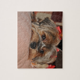 Gullig Yorkshire Terrier Yorkie med röda pilbågar Pussel