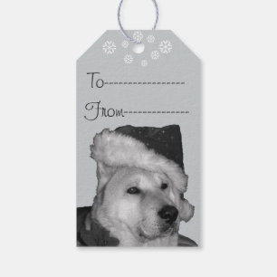 Gulliga akita i röd hund för santa hattjul presentetikett