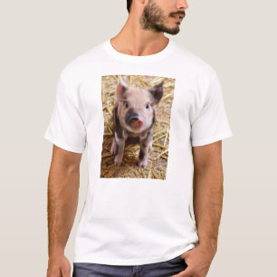 Gulliga babyar för Barnyard för babyPigletboskap T-shirt