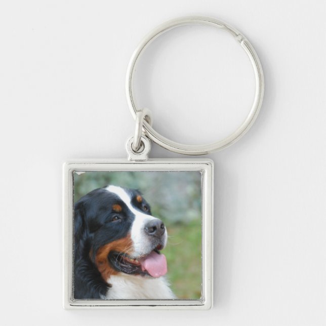 Gulliga Bernese Keychain Fyrkantig Silverfärgad Nyckelring (Framsidan)