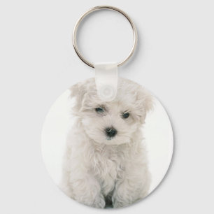 Gulliga Bichon Frise Keychain Nyckelring