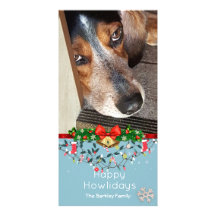Gulliga blått för lyckligt Howlidays Beaglefoto