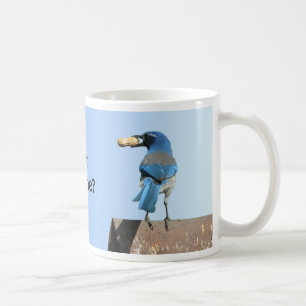 Gulliga blått skurar den Jay fågeln & jordnöten Kaffemugg