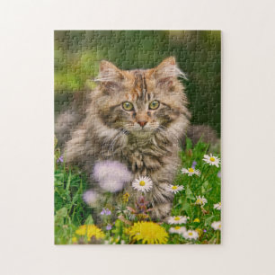 Gulliga blommor för katt för Maine Coonkattunge Pussel