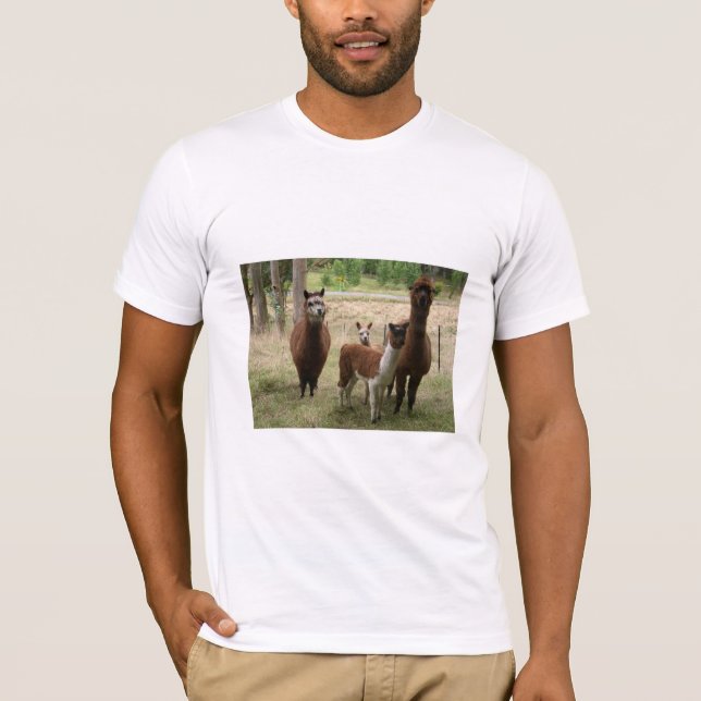 Gulliga bruna Alpacas i zooen T Shirt (Framsida)