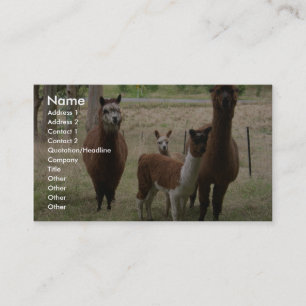 Gulliga bruna Alpacas i zooen Visitkort