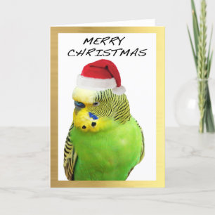 "Gulliga Budgie" designjulkort Helgkort