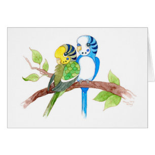 Gulliga budgies hälsningskort