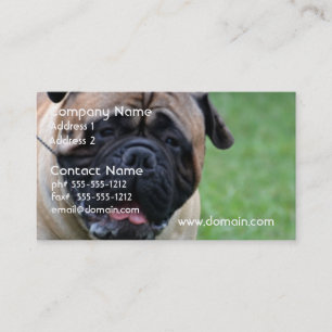 Gulliga Bullmastiff Visitkort