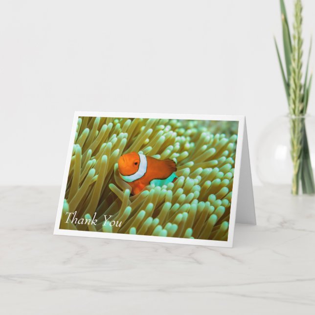 Gulliga Clownfish på kort för havsanemonhälsning (Framsida)