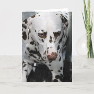 Gulliga Dalmatian hälsningkort Kort