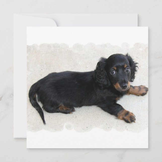 Gulliga Daschund inbjudningar (Framsida)