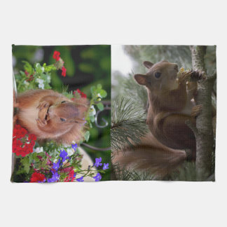 Gulliga ekorrar kökshandduk