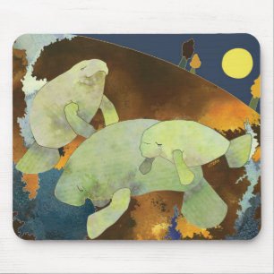 Gulliga Florida Manatees Musmatta