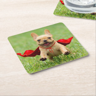Gulliga franska bulldoggSuperherospringor i gräs Underlägg Papper Kvadrat