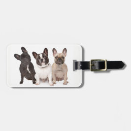 Gulliga franska bulldoggvalpar bagagebricka