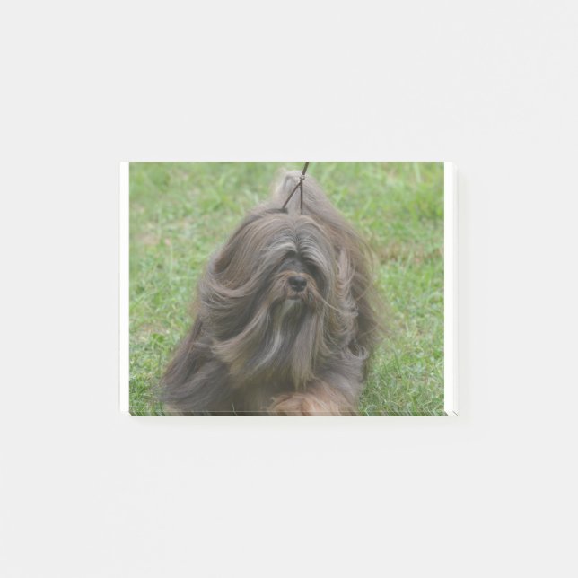 Gulliga Havanese Post-it Block (Framsida)