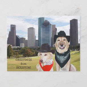 Gulliga hundar/labbhälsningar från Houston Vykort
