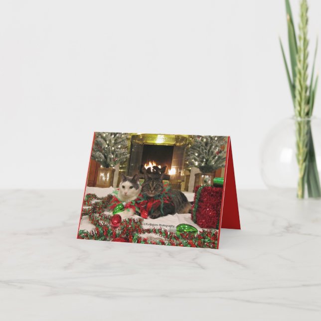 Gulliga katter som firar jul kort (Framsida)