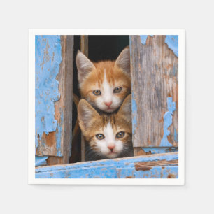 Gulliga kattkattungar i ett foto för pappersservett