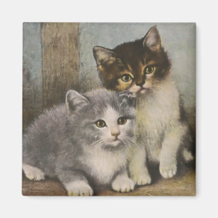 Gulliga kattungar magnet