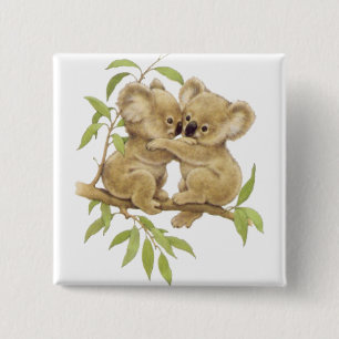Gulliga Koalas Knapp