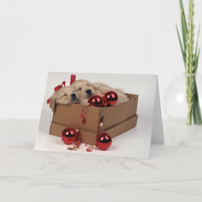 Gulliga Labrador valpar med baubles x-mas Helgkort (Framsida)