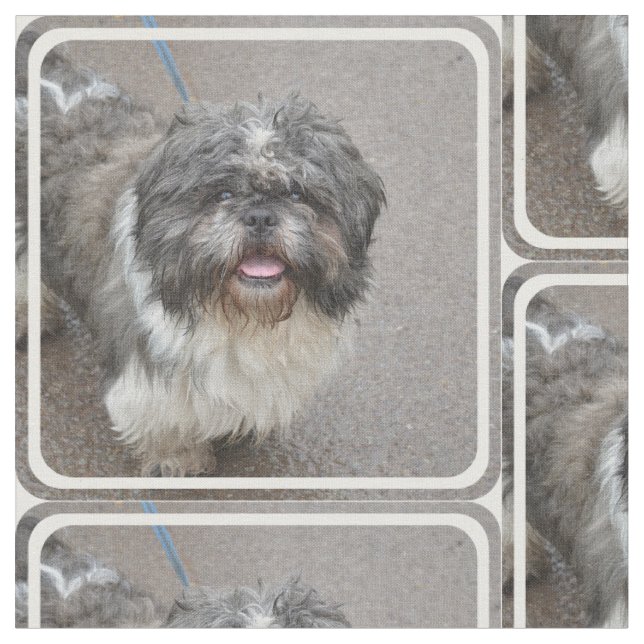 Gulliga Lhasa Apso Tyg (Närbild)