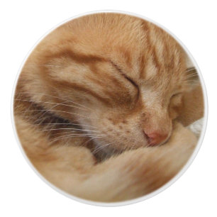 Gulliga ljust rödbrun orange kattskänkknoppar knopp