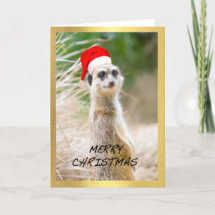 "Gulliga Meerkat" designjulkort Helgkort