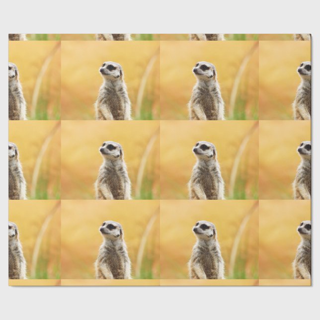 Gulliga Meerkat som slår in papper Presentpapper (Seam)