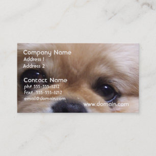 Gulliga Pekingese valpvisitkortar Visitkort