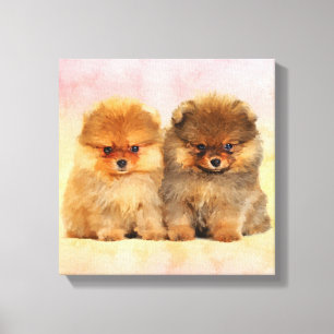Gulliga Pomeranian tyska Spitzvalpar Canvastryck