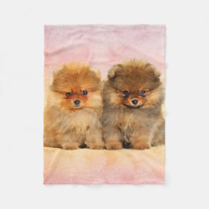 Gulliga Pomeranian tyska Spitzvalpar Fleecefilt
