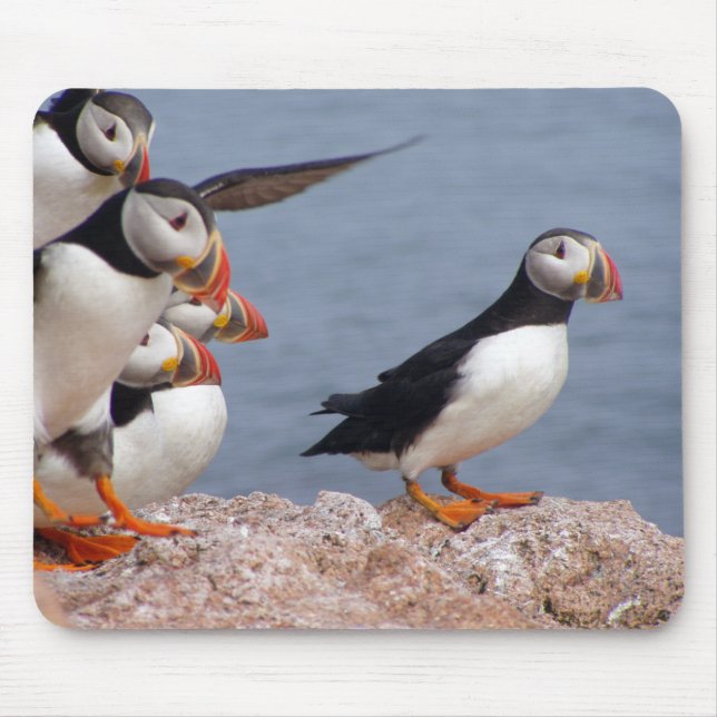 Gulliga Puffins Mousepad Musmatta (Framsidan)