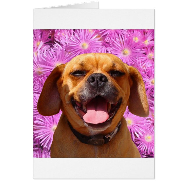 Gulliga Puggle Hälsningskort (Framsidan)