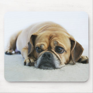 Gulliga Puggle Mousepad Musmatta