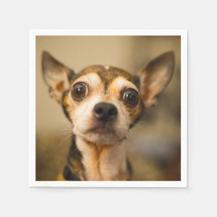 Gulliga & roliga servetter för Chihuahuahundpapper