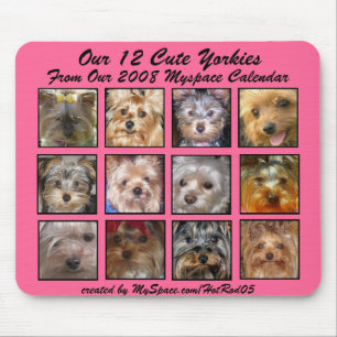 GULLIGA ROSOR för KALENDER för YORKIES 2008 (på Musmatta