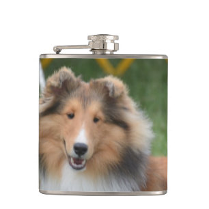 Gulliga Sheltie Fickplunta