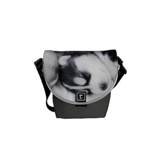 gulliga sova husky valper hänger lös kurir väska