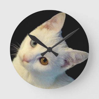 Gulliga Vit Turk Skåpbil Kattunge Ta tid på Rund Klocka