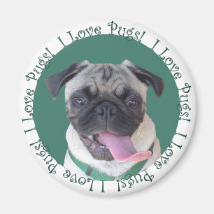 Gulligt älskar jag mops magnet