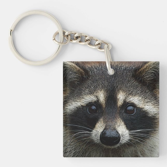 Gulligt babyRaccoonansikte som är nära upp med (Framsidan)