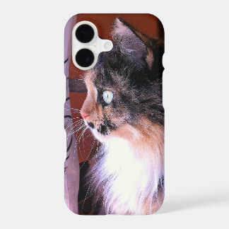 Gulligt CalicokattIphone 8s/7s mobilt fodral