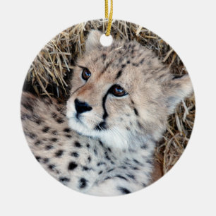 Gulligt Cheetahungefoto Julgransprydnad Keramik