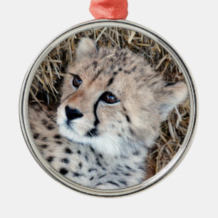 Gulligt Cheetahungefoto Julgransprydnad Metall