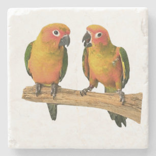 Gulligt Conure underlägg