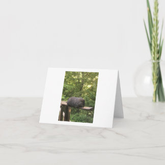 Gulligt djurt kort för någon som du att bry sig